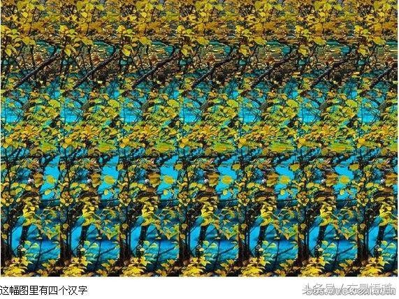 世界上最震撼的三维立体图(你能看的出几张)(1)