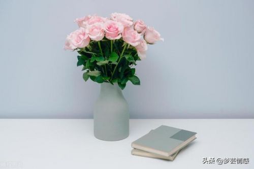 女的自己一个人想要了怎么办呀(自己一个人想要了怎么办男生)-第2张图片-