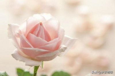 ​女的自己一个人想要了怎么办呀(自己一个人想要了怎么办男生)