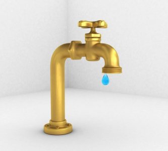 ​滴水尖还是储水尖，滴水尖还是储水尖植物？