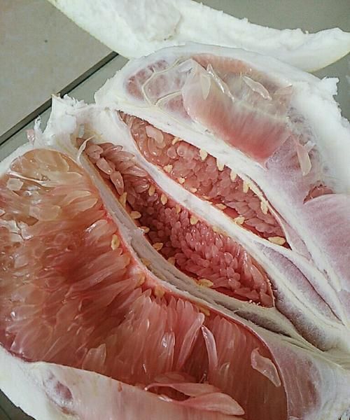 野生柚子有点苦能吃吗