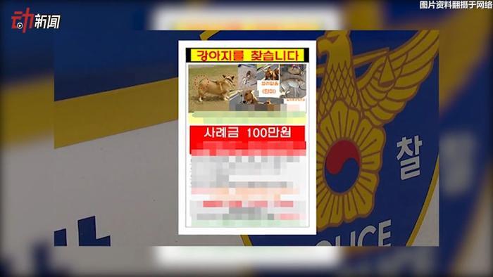 她悬赏100万韩元找柯基!却被邻居大叔吃掉了…