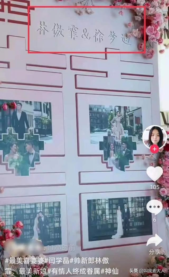 金龟子主持人图片(金龟子被女儿宠成公主)