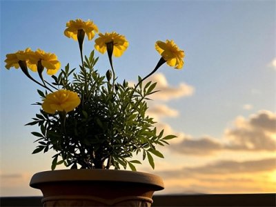 ​人老了，躺病床上才懂，晚年的依靠，除了老伴、子女，还有这3样