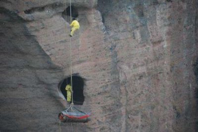 ​未解之谜：鬼獒王咬死狮子 鬼脸獒王咬死狮子