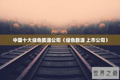 ​中国十大绿色能源公司（绿色能源 上市公司）