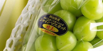 ​从一斤300块到9块9，阳光玫瑰为什么没人买了？