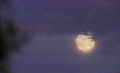 ​吴刚和嫦娥什么关系（吴刚伐桂的三种说法）