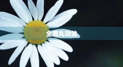 ​全鹿丸功效(全鹿丸功效是什么)