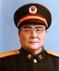 ​向守志将军：辉煌传奇，功勋镌刻青史