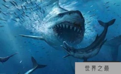 ​史上咬合力最强大的生物：巨齿鲨，咬合力高达36吨