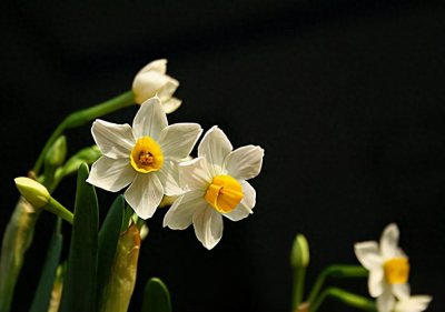 ​男人真正放下你了，会有这些细节表现