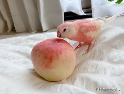 ​超现实！20张诡异的图片，展示生活中的偶然