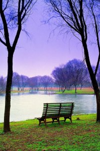 ​推荐步微澜的强取豪夺高干文《沉香豌》，很狗血