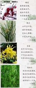 ​关于梅兰竹菊的诗句（关于梅兰竹菊的诗句精选）