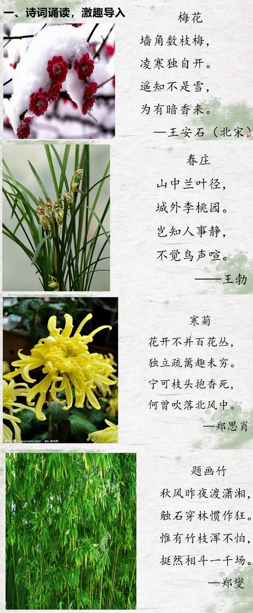 关于梅兰竹菊的诗句（关于梅兰竹菊的诗句精选）