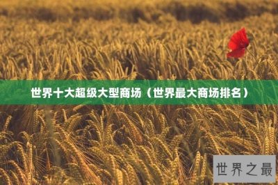 ​世界十大超级大型商场（世界最大商场排名）