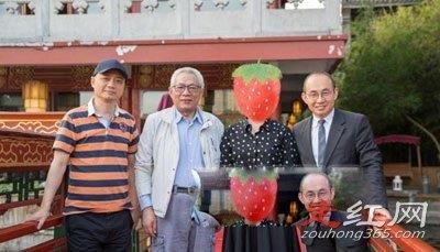 崔永元事件是怎么回事 真实目的究竟是什么