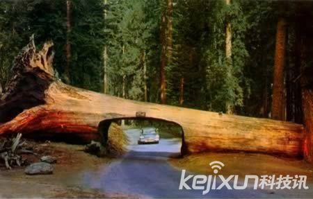 盘点世界上十大最奇异隧道:梦幻时空隧道