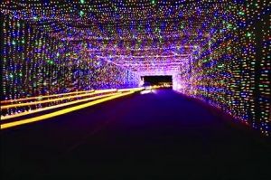 盘点世界上十大最奇异隧道:梦幻时空隧道