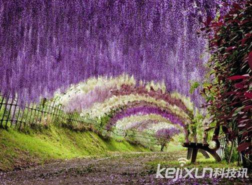 盘点世界上十大最奇异隧道:梦幻时空隧道