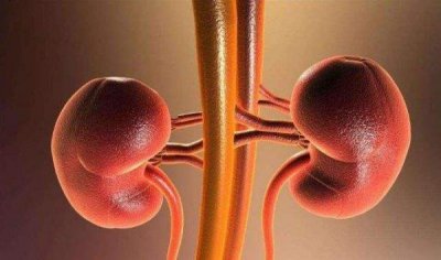 ​世界上肾最多的人，竟然有5个肾脏