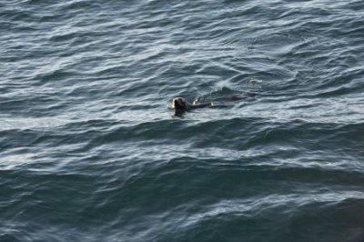 ​8月份去巴厘岛旅游攻略8月份去巴厘岛旅游攻略图