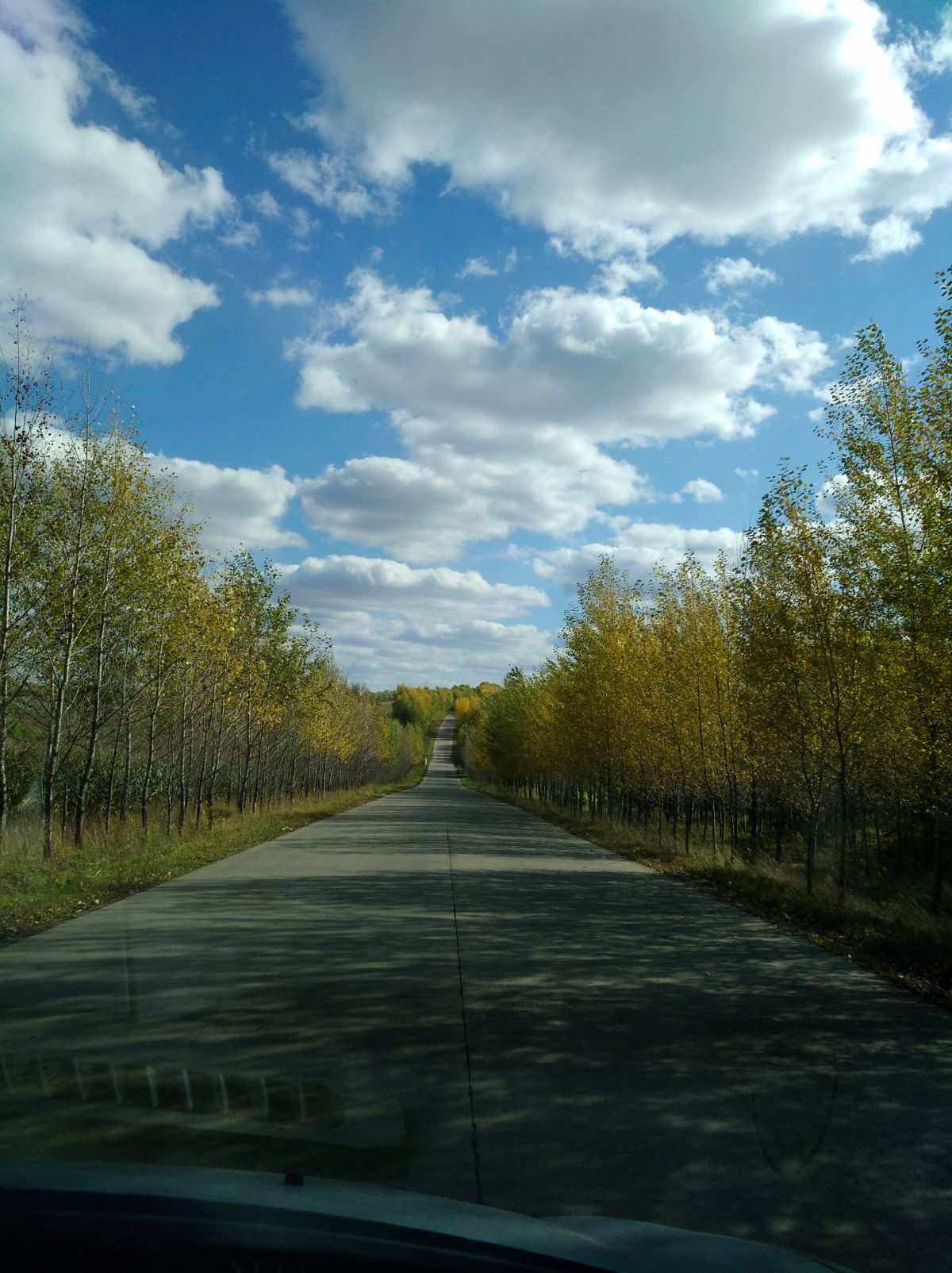 无情的风(无情的风儿吹散了我的记忆是什么歌)