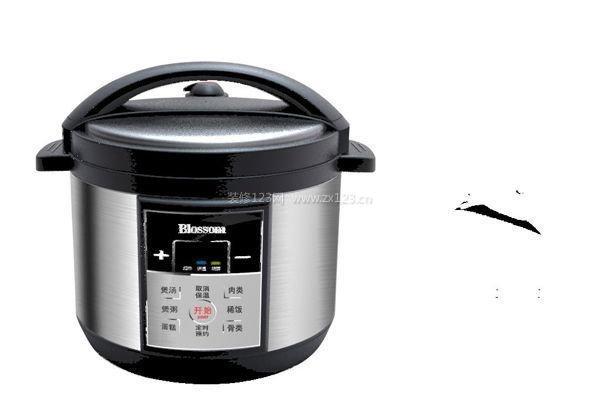 电压力锅哪种好用（电压力锅怎么样）(1)