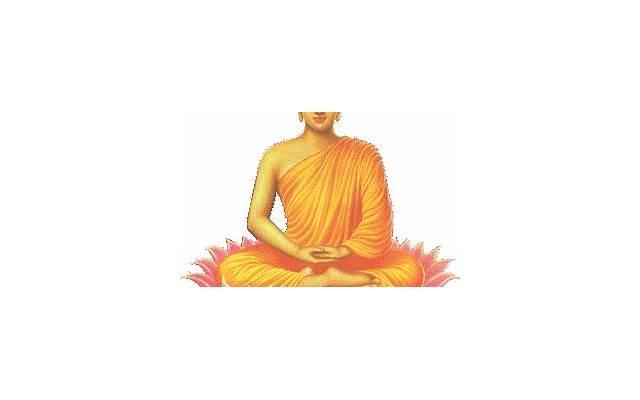 突然脱单感觉害怕怎么办？