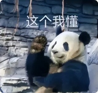 ​景区门票免费送！全国旅游综合实力第九的番禺有什么好玩？