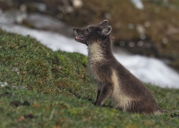追踪装置目前已停止运作。