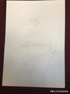 ​创意水彩简笔画作品之荷花