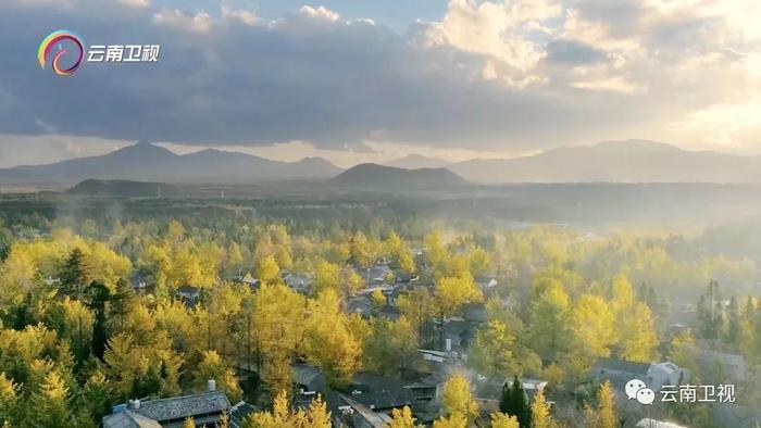 《味道云南》第二季 第八集“异乡之味 ”云南卫视今晚21:30播出!