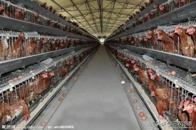 ​全国（85家）兽用疫苗生产企业名录