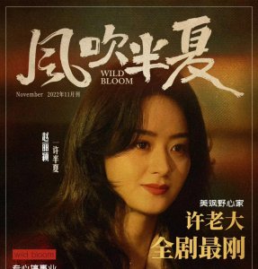 ​《风吹半夏》，心甘情愿喝下赵丽颖藏好的“毒”