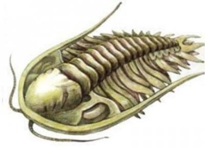 ​哈尔滨十大春节旅游景点