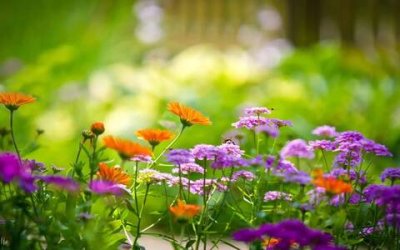 ​岗位竞聘报告怎么写，单位岗位竞聘演讲稿