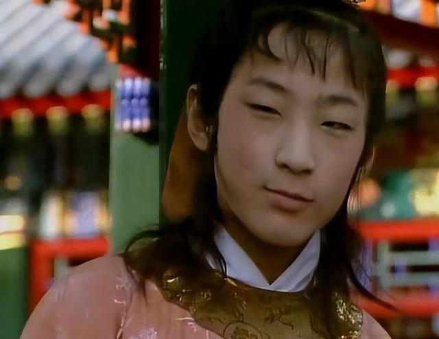 红楼梦贾环结局解析(红楼梦中可恨又可怜的贾环)(6)