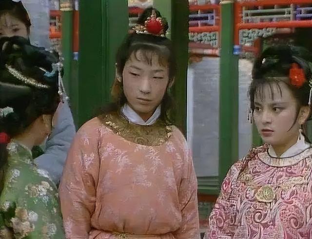 红楼梦贾环结局解析(红楼梦中可恨又可怜的贾环)(3)