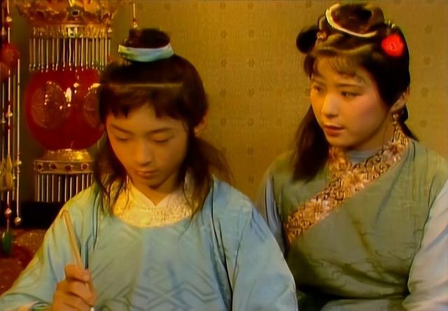 红楼梦贾环结局解析(红楼梦中可恨又可怜的贾环)(9)