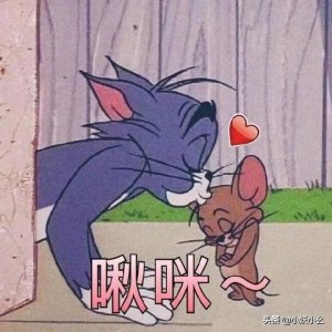 ​好看！男主是军人的甜文推荐，清风莫晚的《遥望行止》超赞