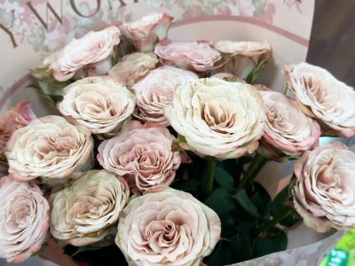 ​价格每支1-2元！今年七夕，玫瑰花可冲