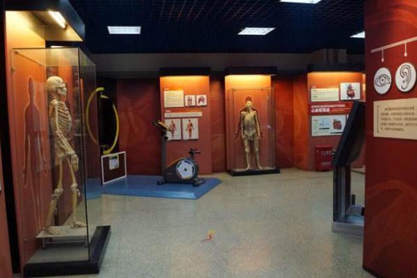 全球唯一一座“人体博物馆”胆小慎入，每天只能1000人进