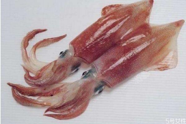 吃墨鱼有什么好处呢 墨鱼怎么做好吃呢