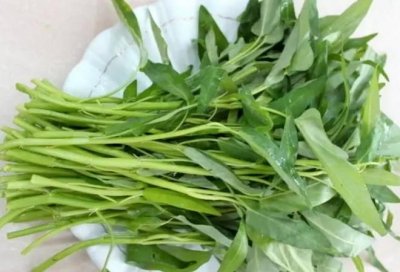 ​吃空心菜有什么好处，导致空心菜开花的原因是什么？