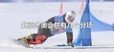 ​北京冬奥会共有几个分项（北京冬奥会共设有几个分项目）