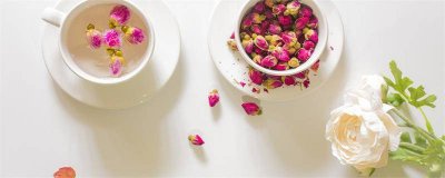 ​常见花名称 所有的花名称大全