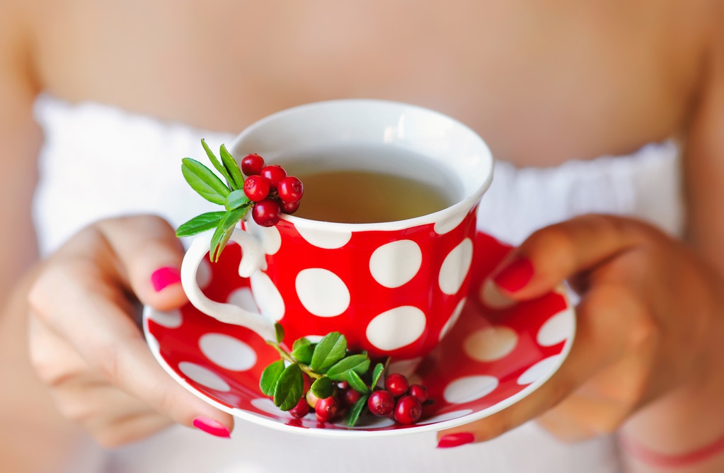 炒牛蒡子的功效与作用（辛凉解表药之牛蒡子）