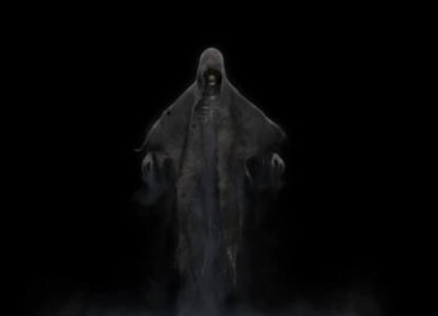 ​世界上最大的金鱼 世界上最大的鲸鱼叫什么？